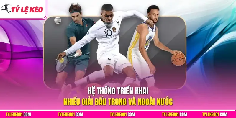 Hệ thống triển khai nhiều giải đấu trong và ngoài nước